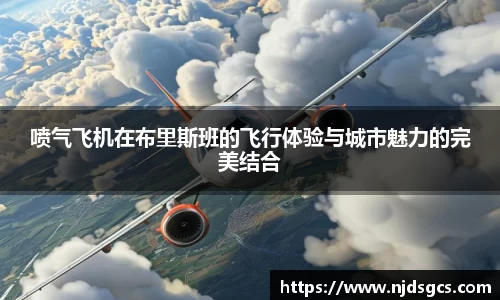 喷气飞机在布里斯班的飞行体验与城市魅力的完美结合